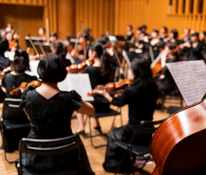 新たなオーケストラ支援事業<br>（日本芸術文化振興会）